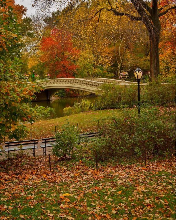 1 Hour Central Park Pedicab Tour NYC