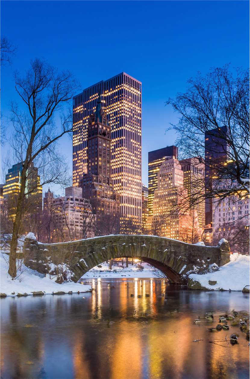 Gapstow Bridge Central Park 1 The whole Gapstow Bridge in Central Park with the Midtown skyline behind The Pond